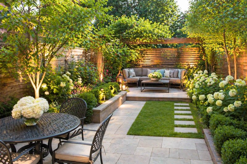 Best Plants for Small Backyard Gardens (2026 Guide)